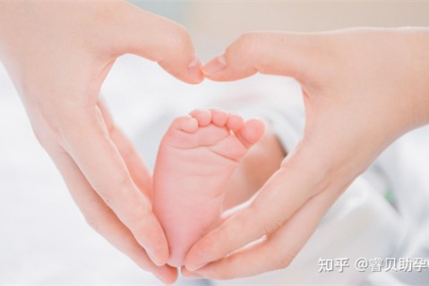 http://xian.51dzb.net/post/188.html|西安新闻中心